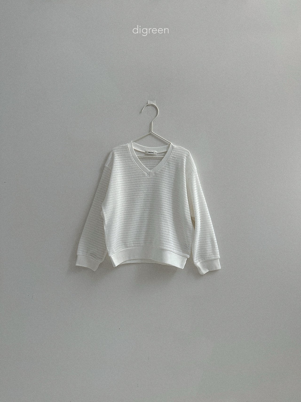 《予約》Summer Stripe Man to Man / digreen