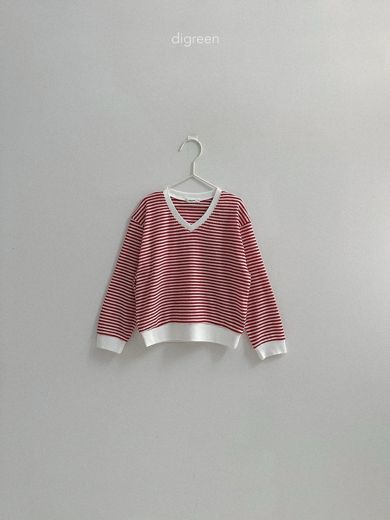 《予約》Summer Stripe Man to Man / digreen