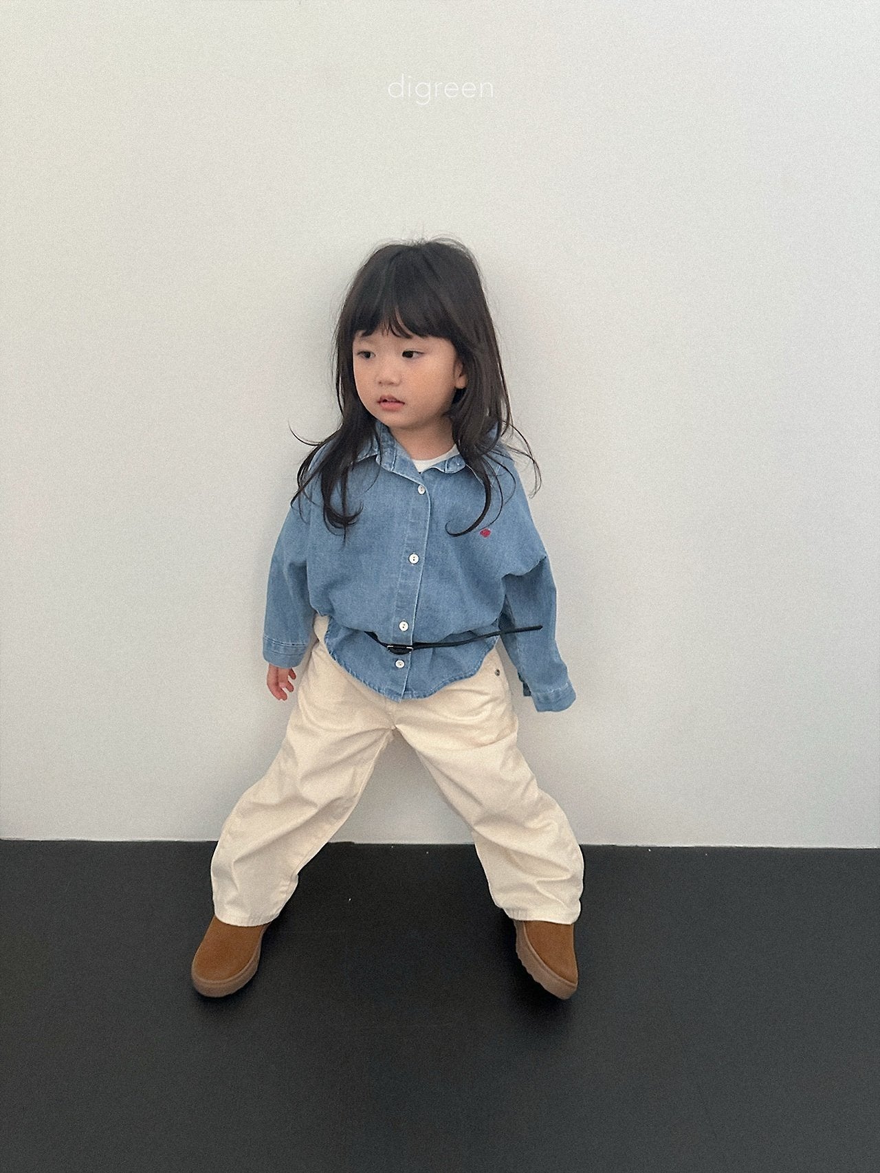 《予約》Denim Shirt / digreen