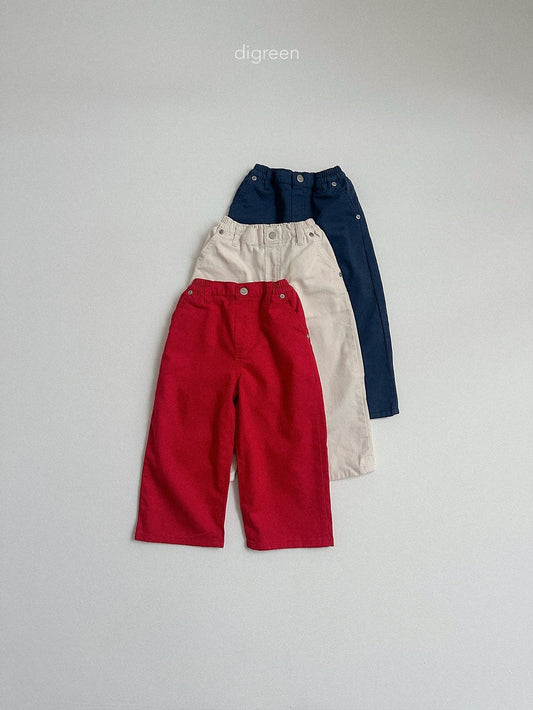 《予約》Beatles Pants / digreen