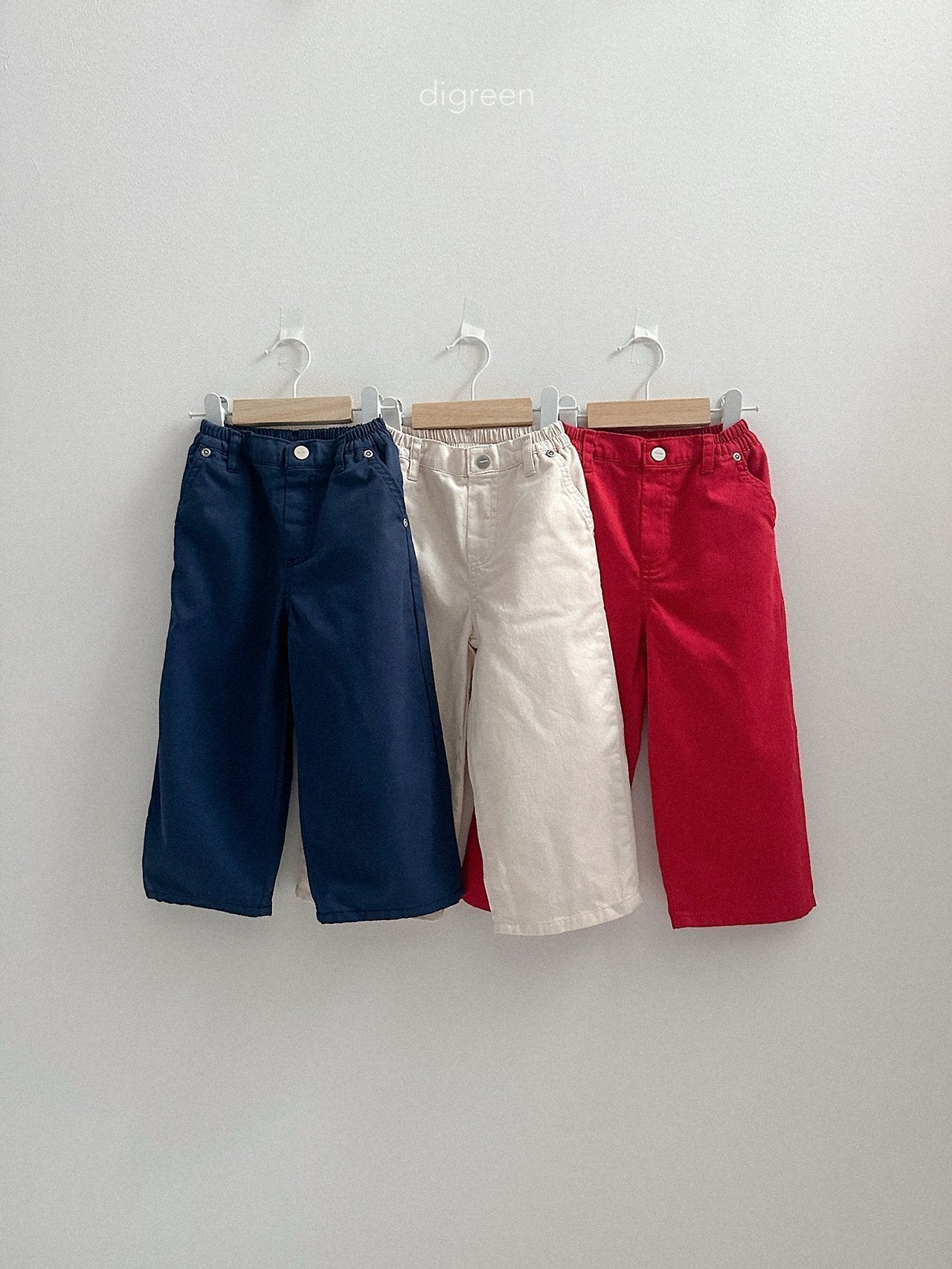 《予約》Beatles Pants / digreen