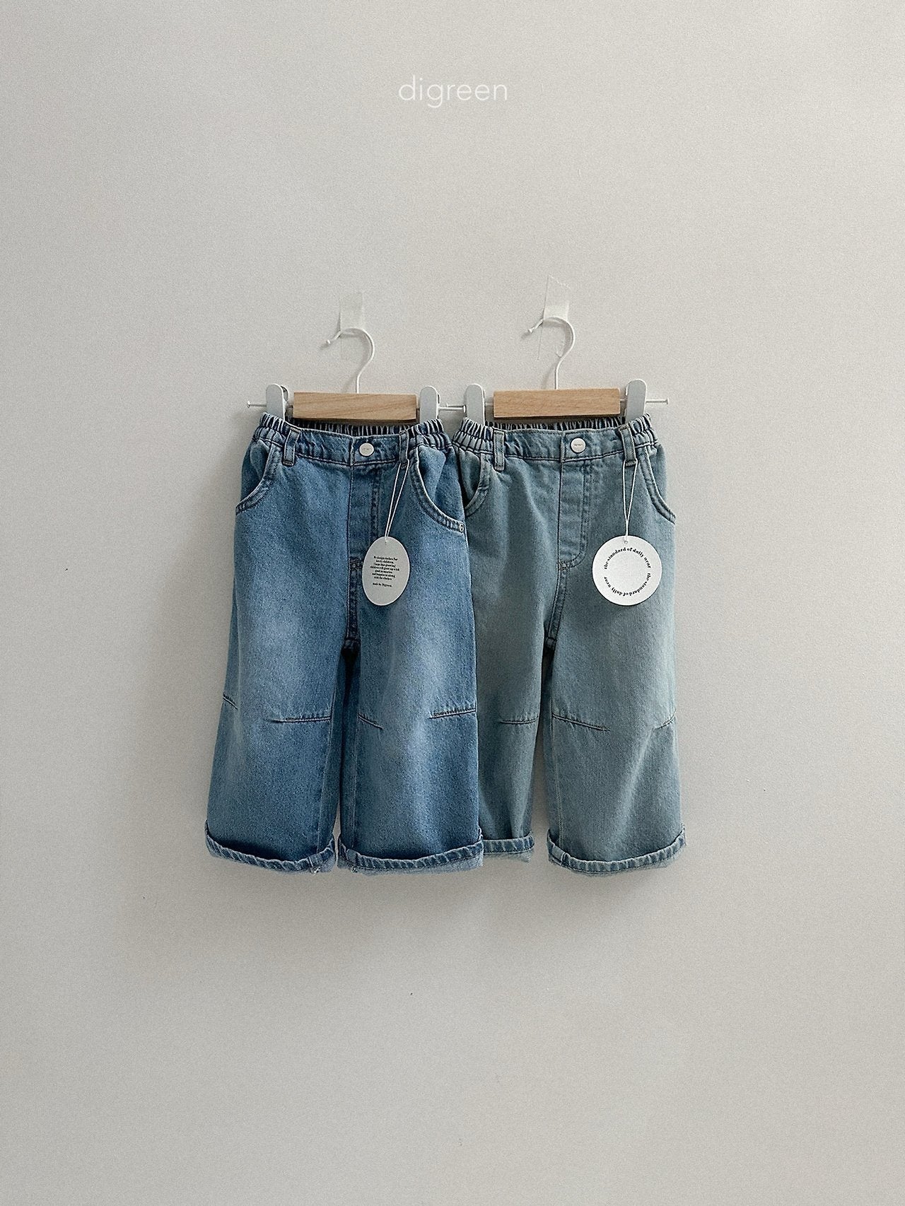 《予約》Dart Denim Pants / digreen
