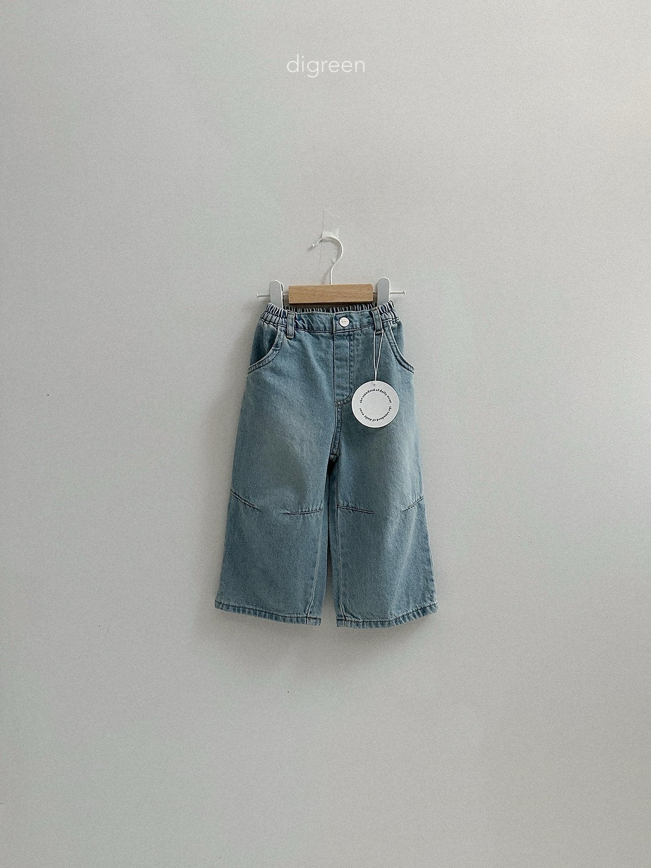 《予約》Dart Denim Pants / digreen