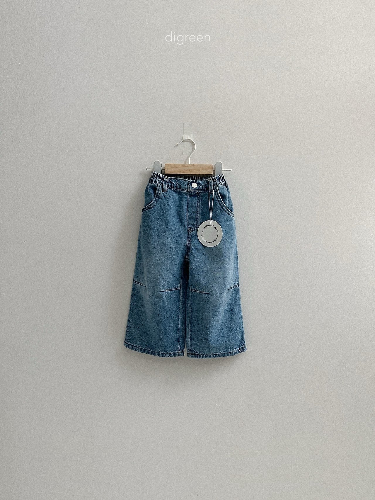 《予約》Dart Denim Pants / digreen
