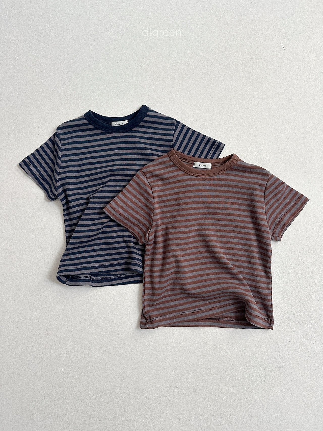 《予約》Camel Stripe Tee / digreen