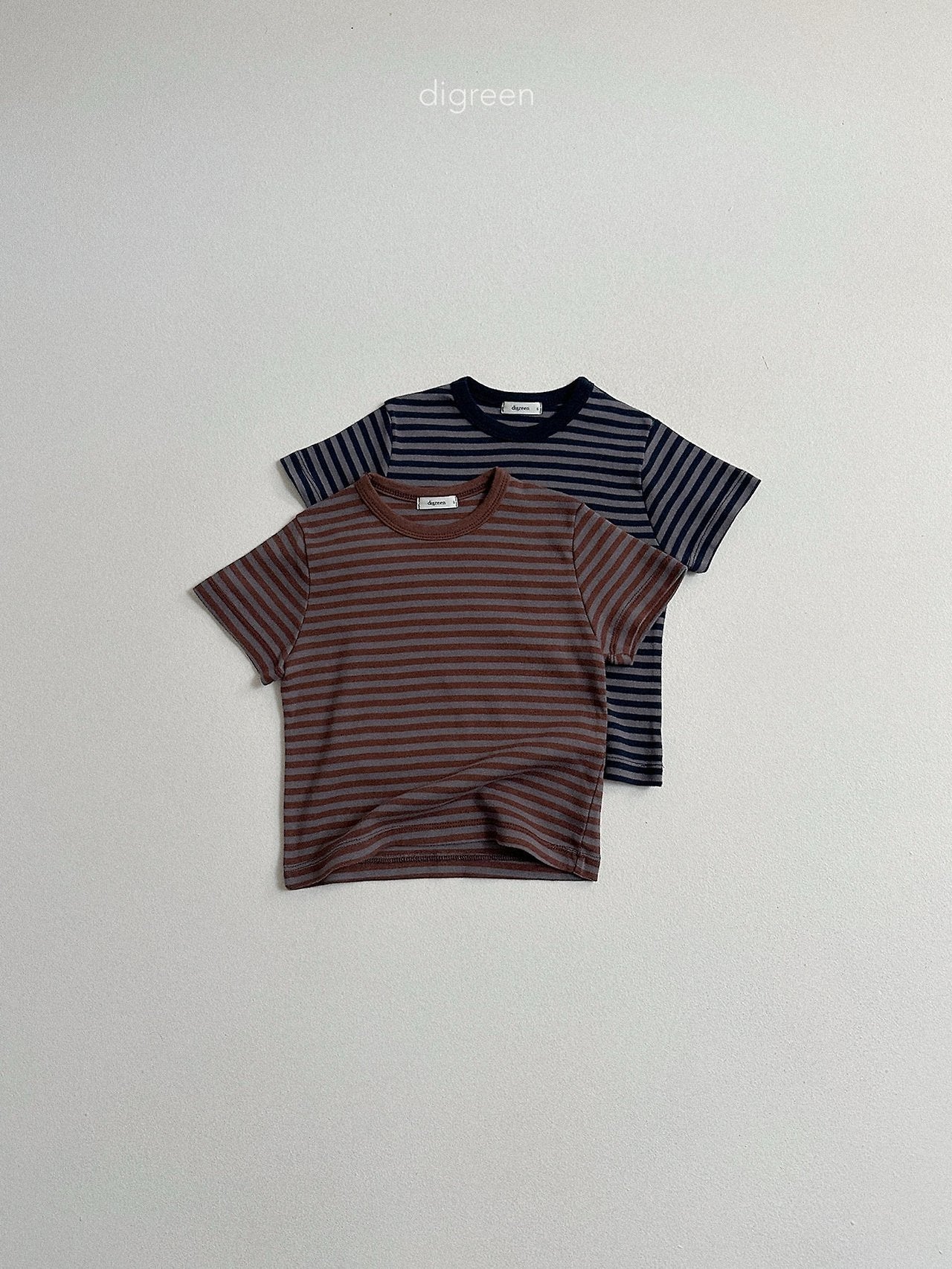 《予約》Camel Stripe Tee / digreen