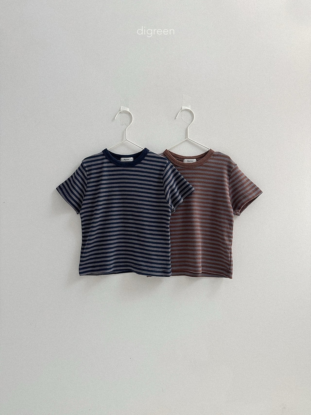 《予約》Camel Stripe Tee / digreen