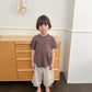 《予約》Camel Stripe Tee / digreen