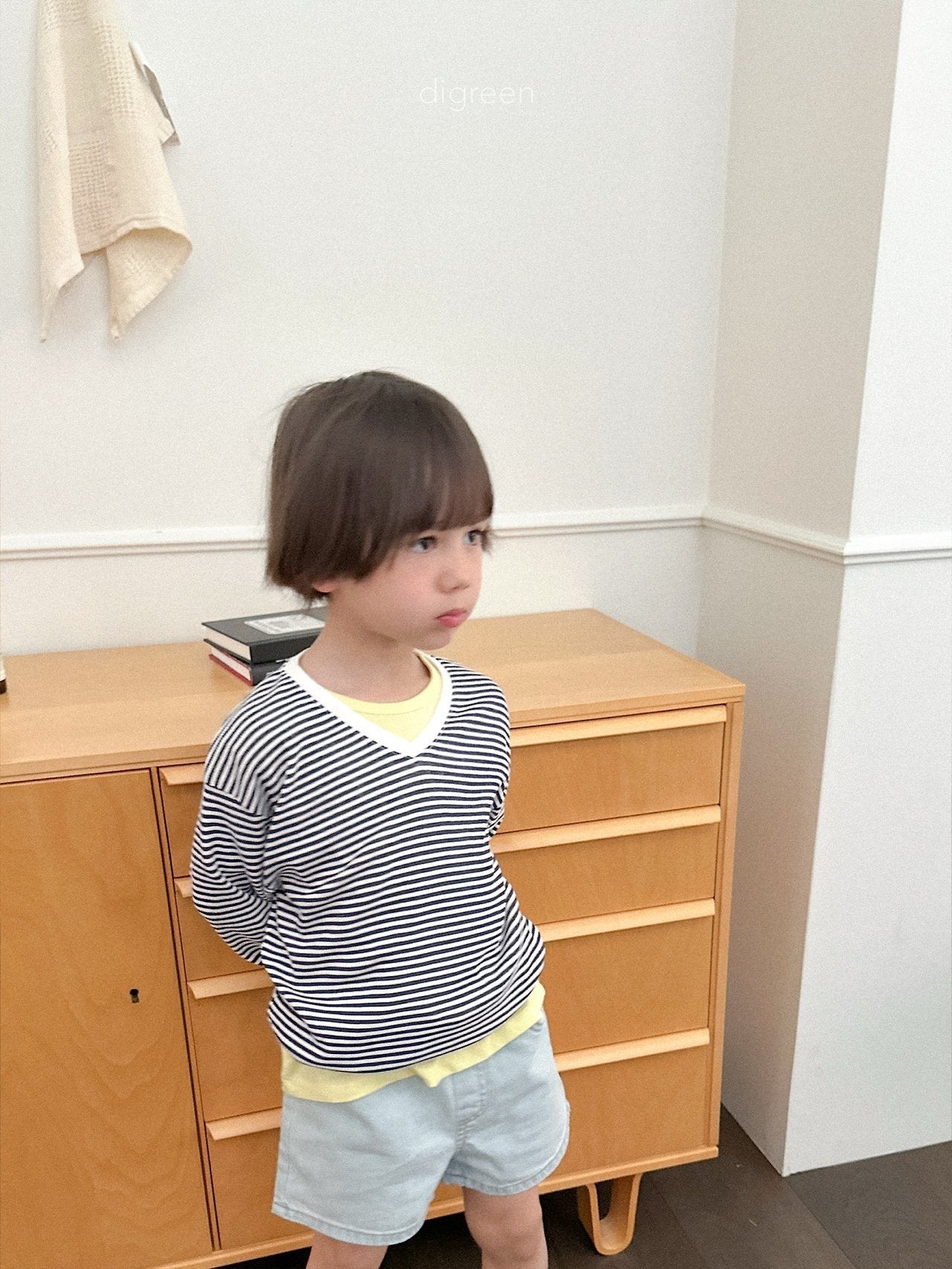 《予約》Summer Stripe Man to Man / digreen