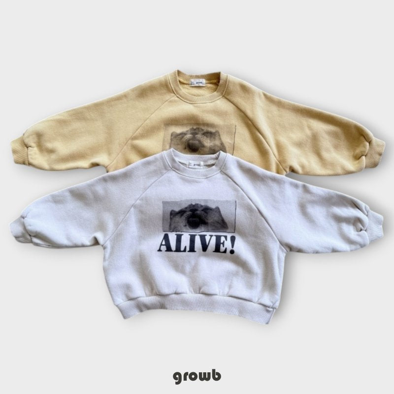 《予約》Live Man to Man  / Growb（adultまで）