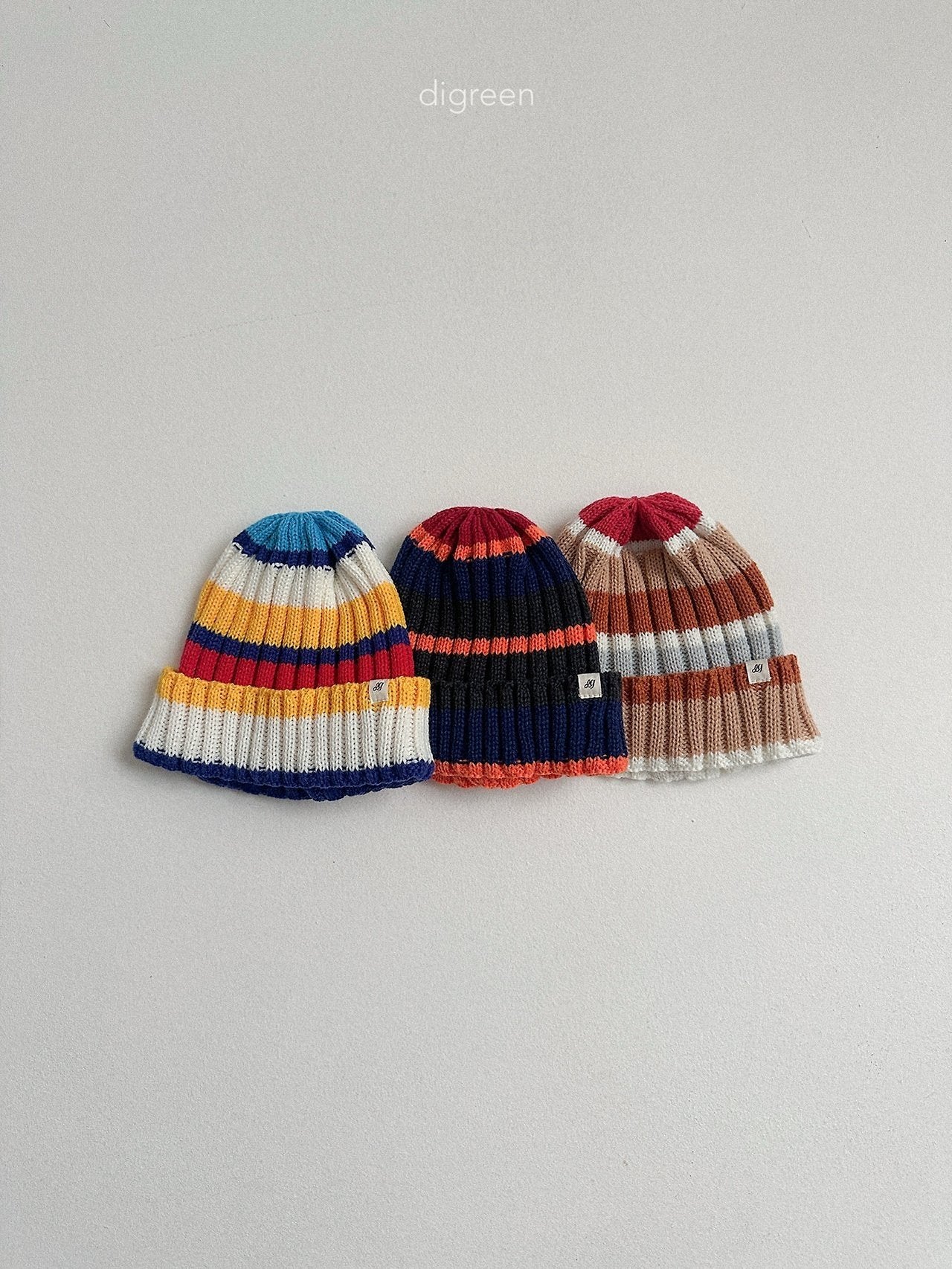 《予約》Multi Beanie / digreen