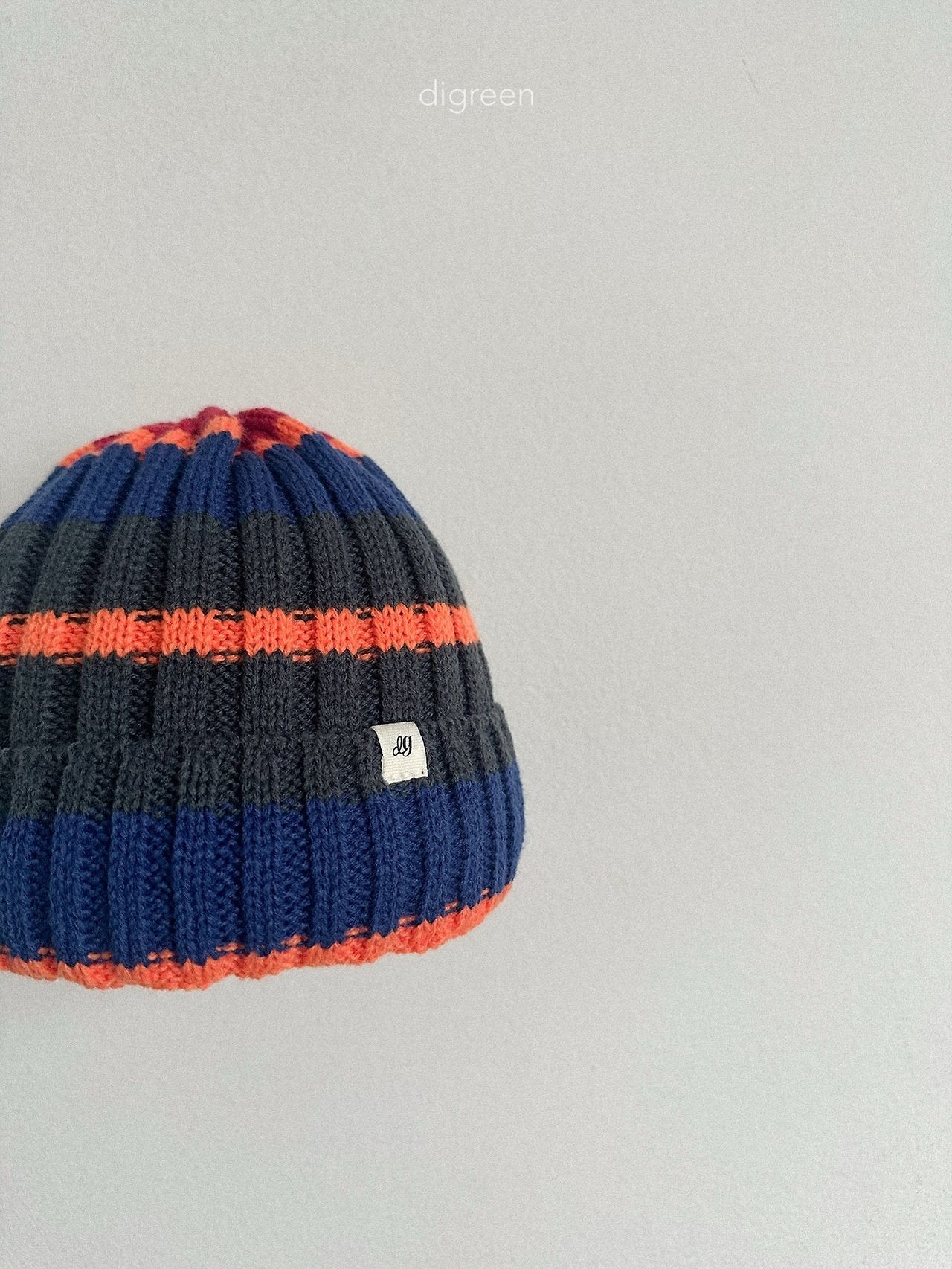 《予約》Multi Beanie / digreen