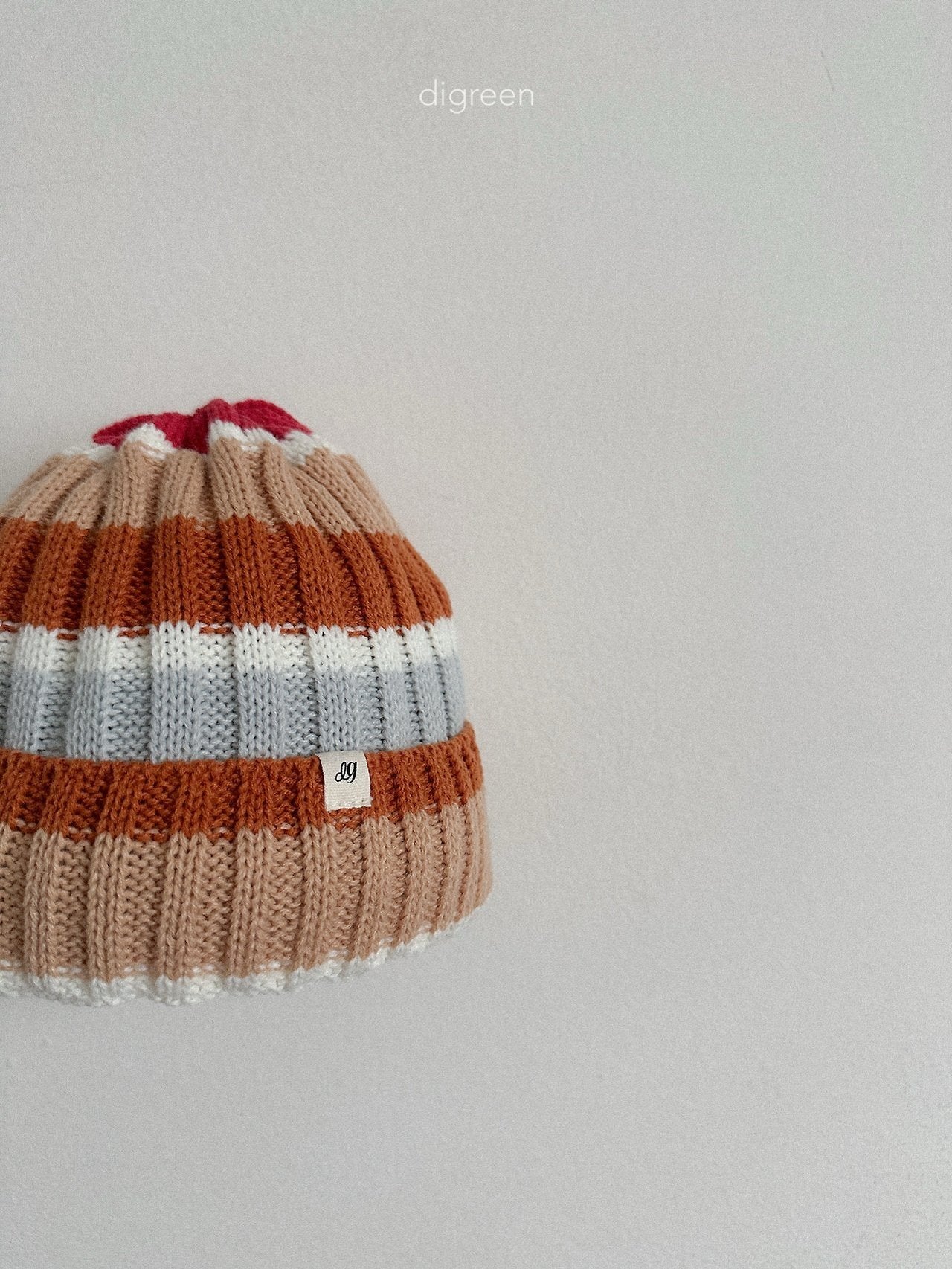 《予約》Multi Beanie / digreen