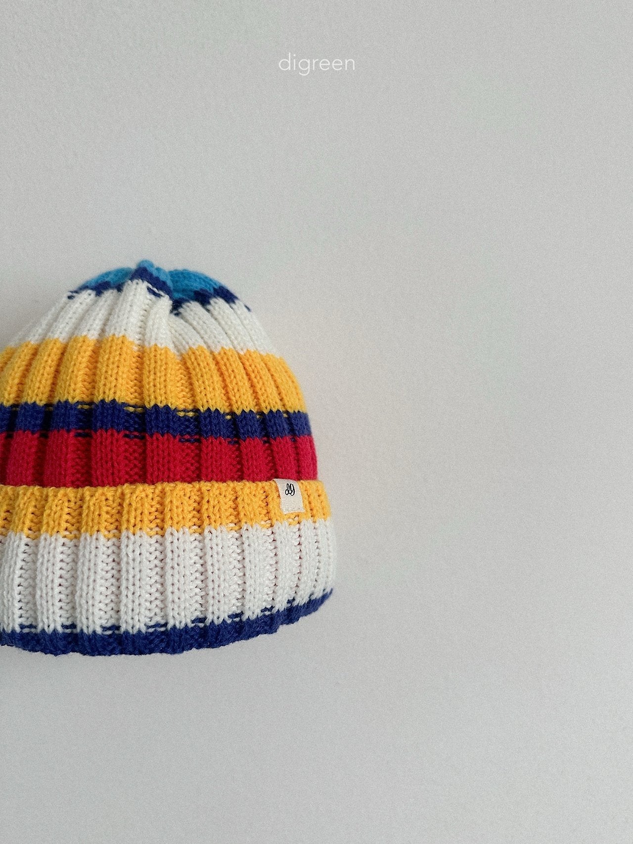 《予約》Multi Beanie / digreen