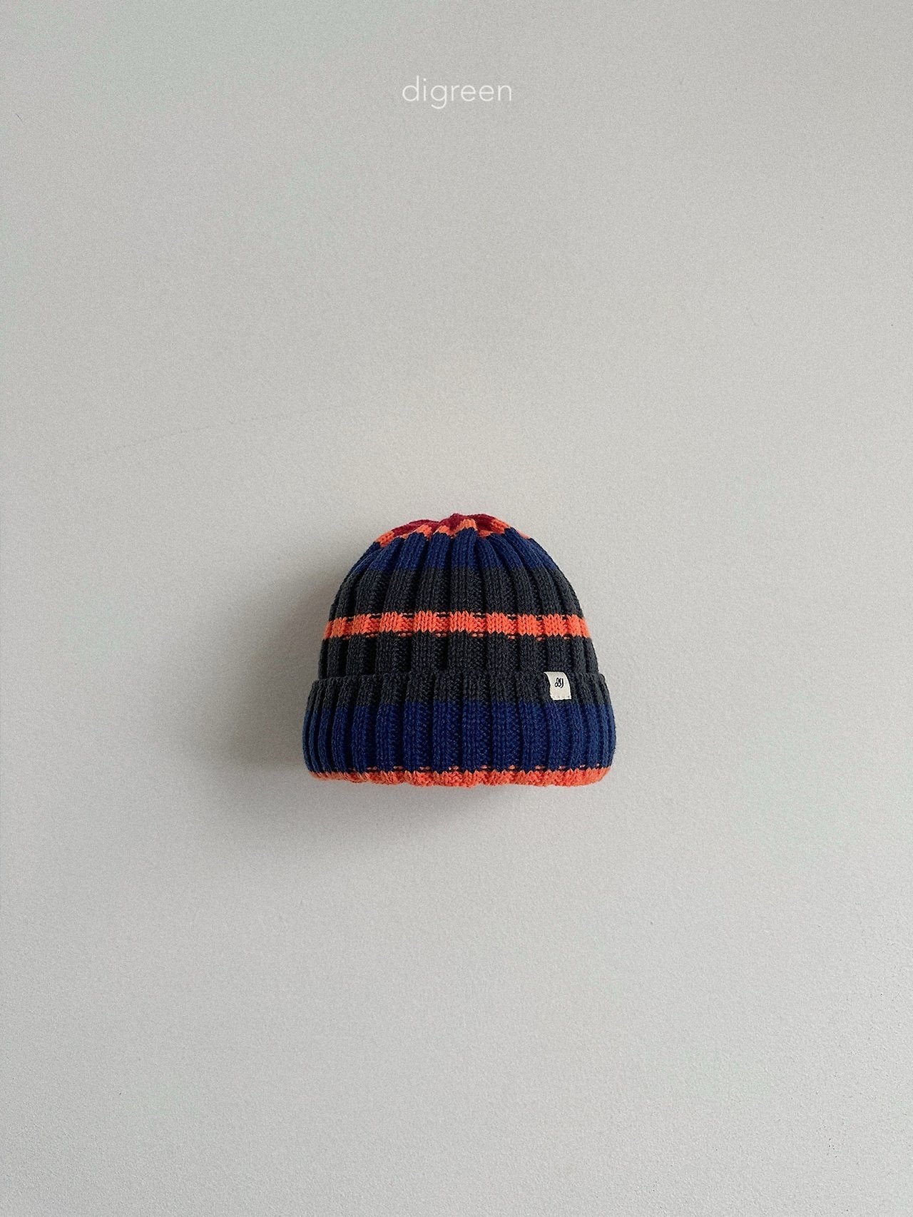 《予約》Multi Beanie / digreen
