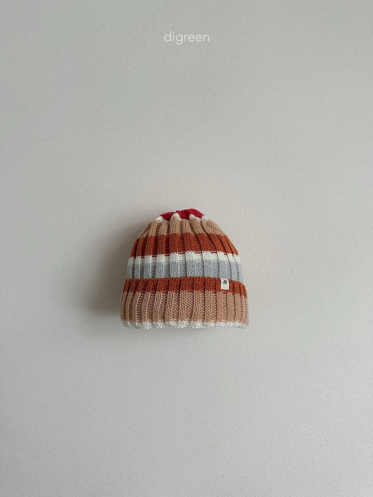 《予約》Multi Beanie / digreen