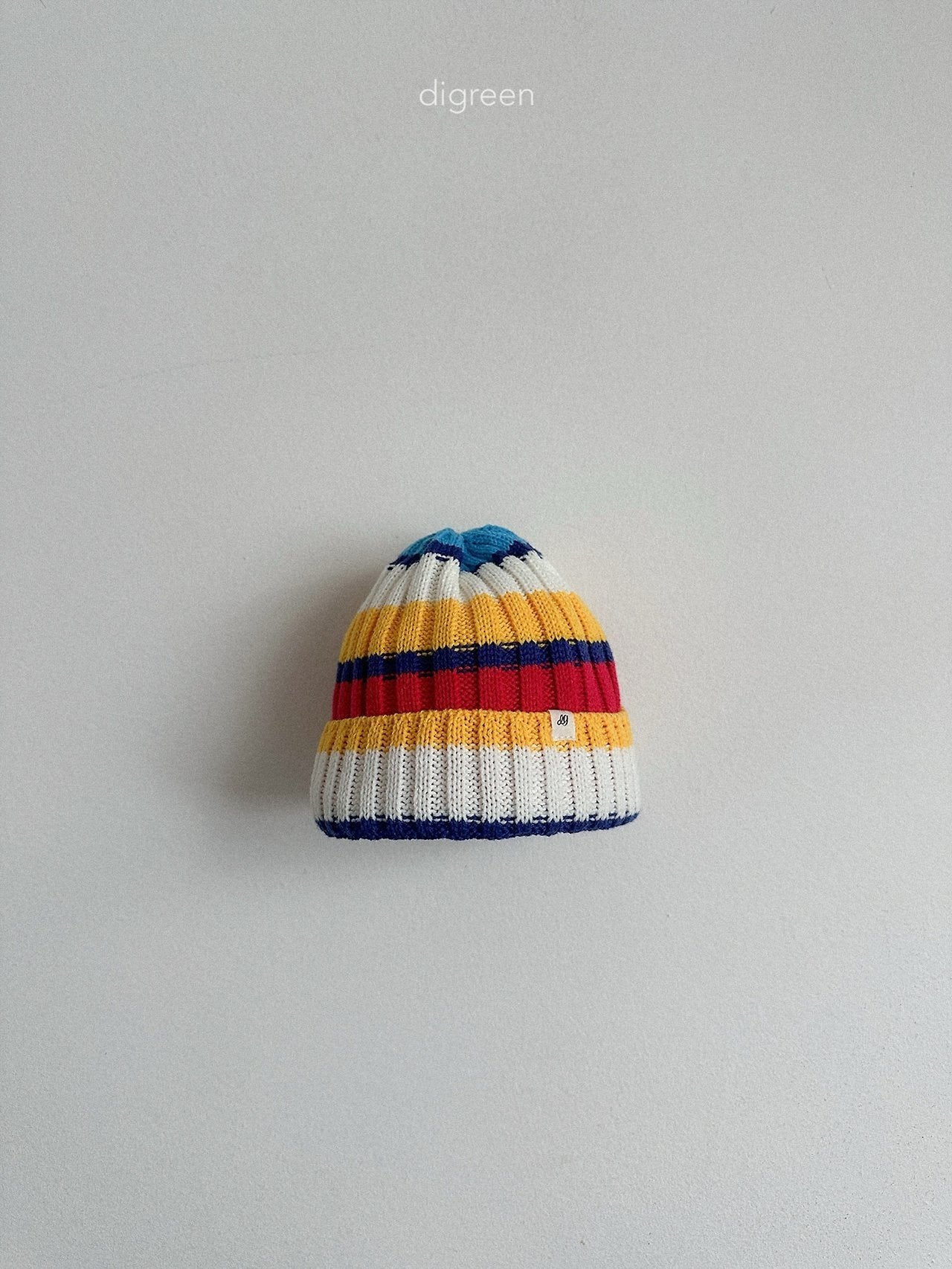 《予約》Multi Beanie / digreen