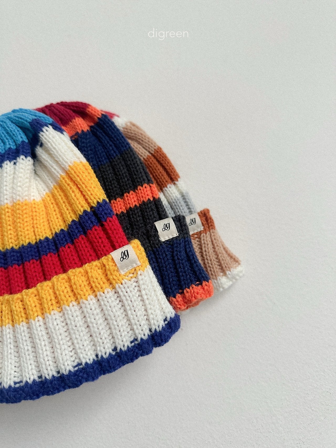 《予約》Multi Beanie / digreen