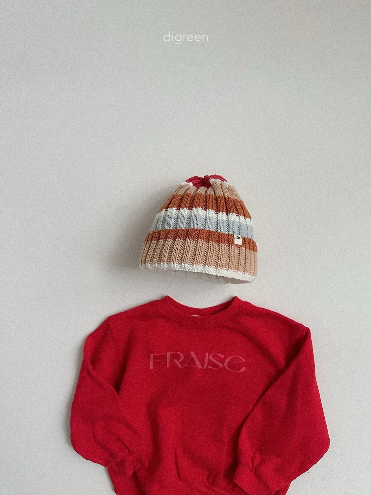 《予約》Multi Beanie / digreen