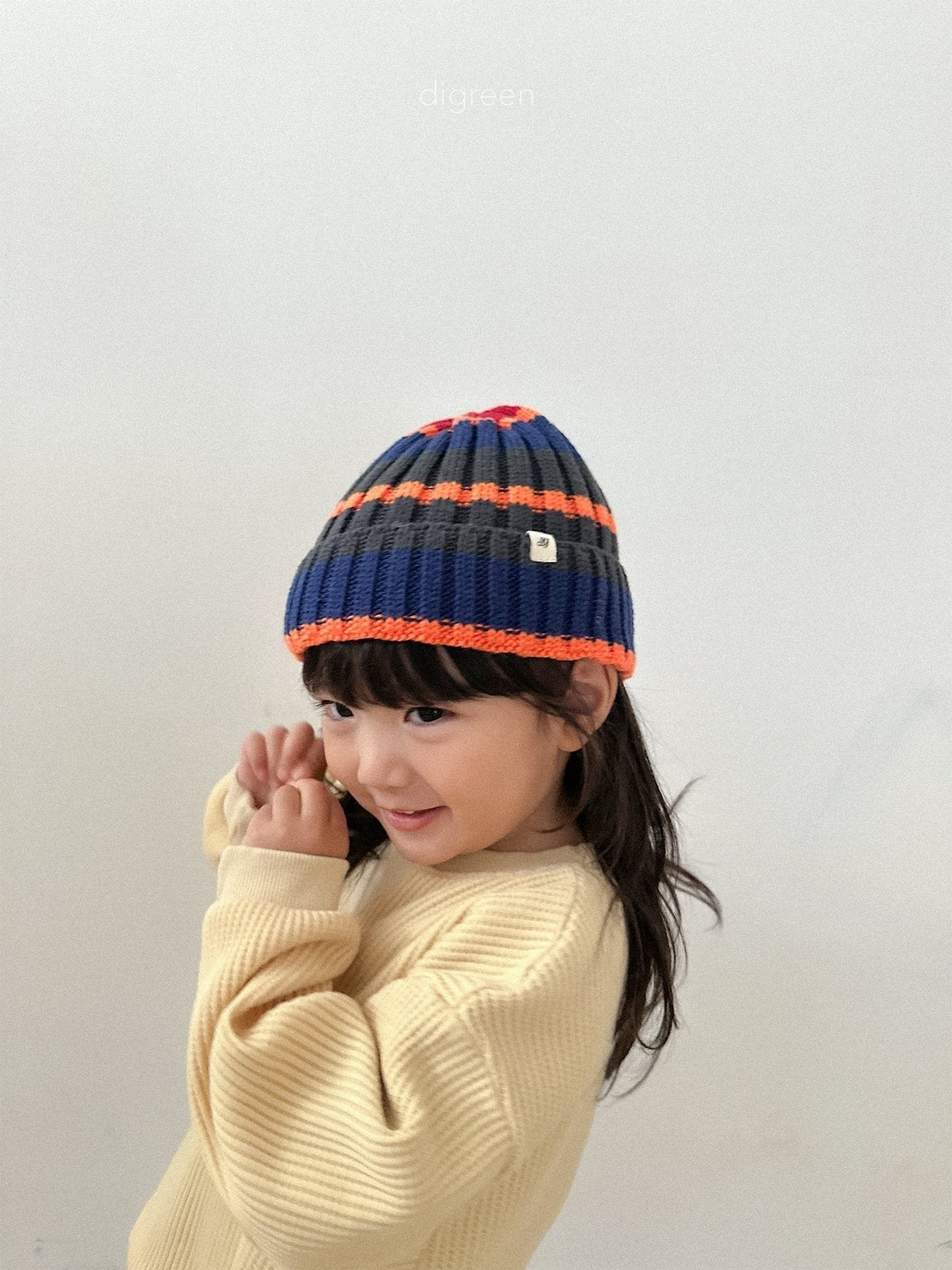 《予約》Multi Beanie / digreen
