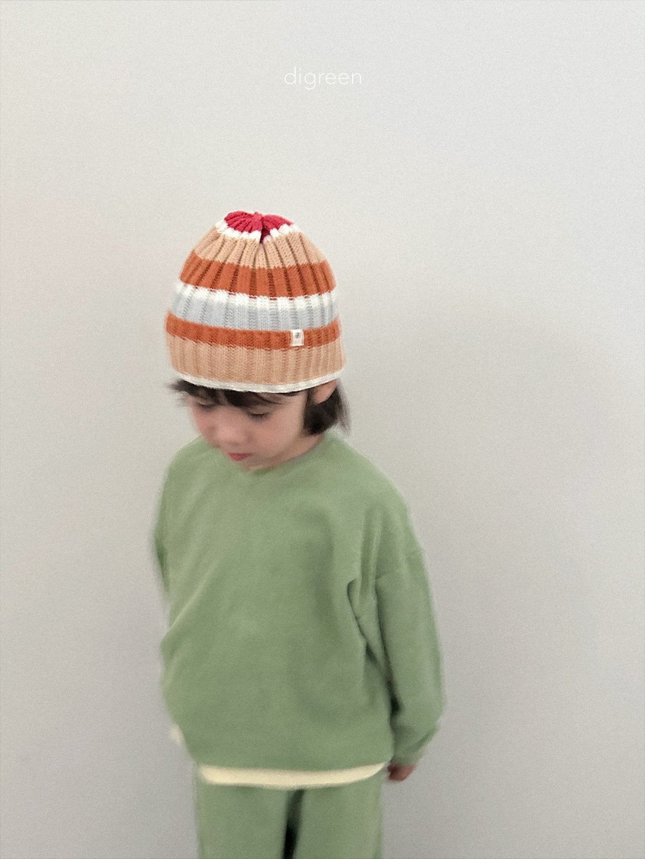 《予約》Multi Beanie / digreen