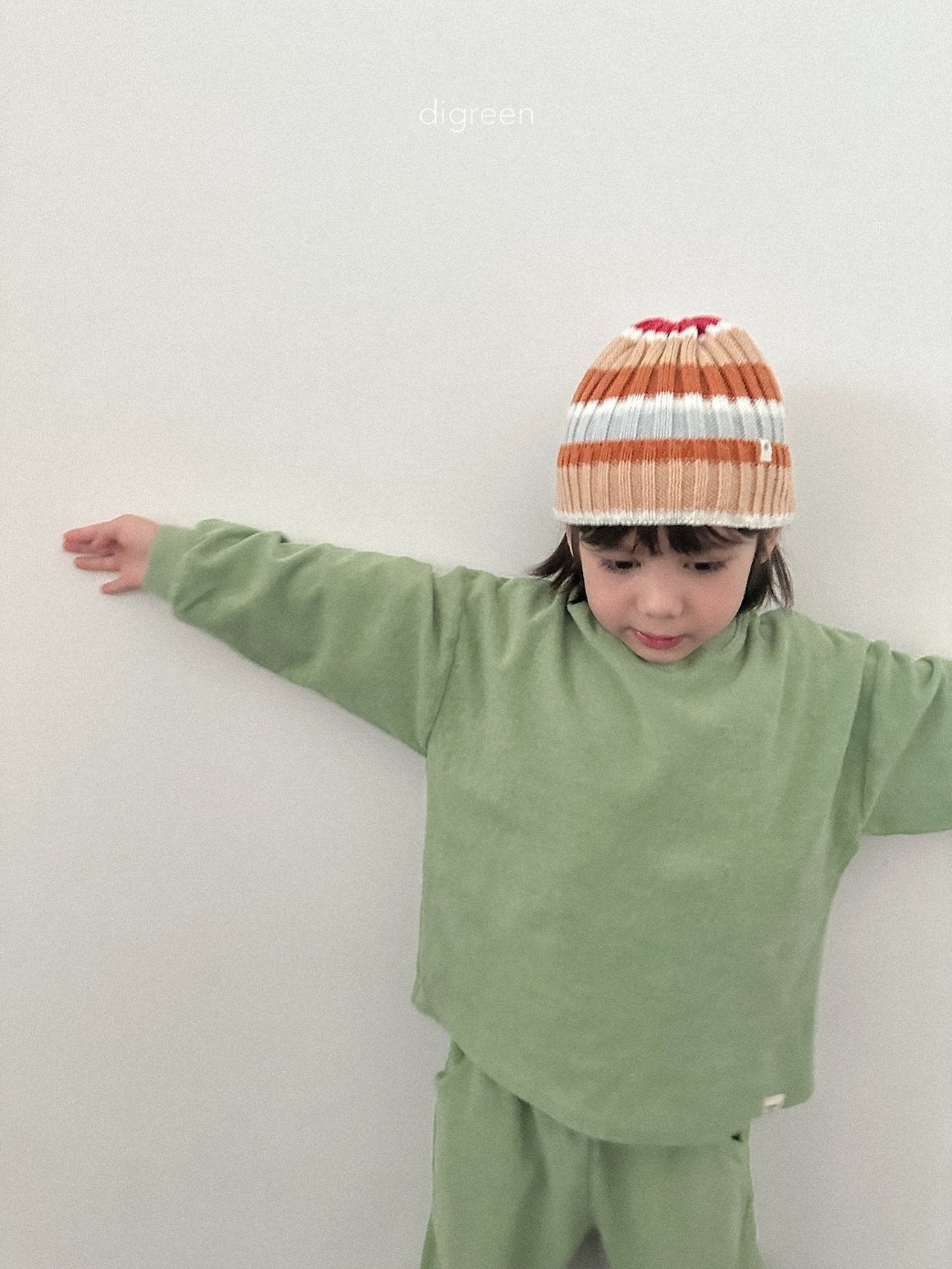 《予約》Multi Beanie / digreen
