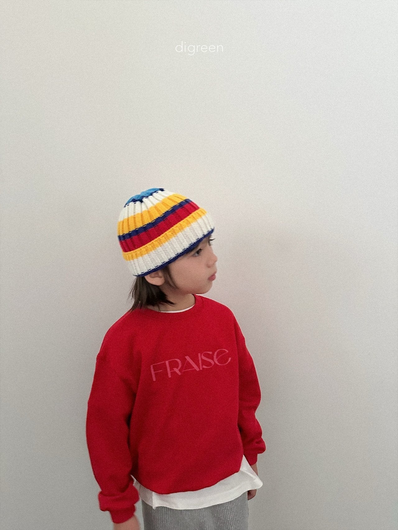 《予約》Multi Beanie / digreen