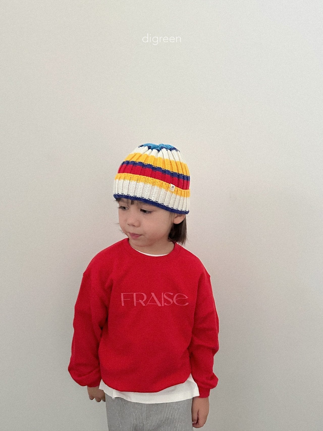 《予約》Multi Beanie / digreen