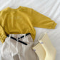 《予約》Square Belt / digreen