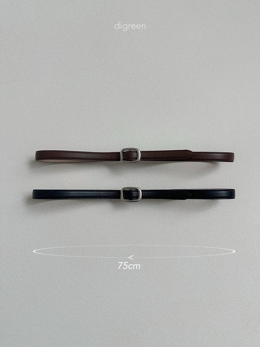 《予約》Acorn Belt / digreen
