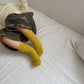 《予約》Vivid Socks Set / digreen
