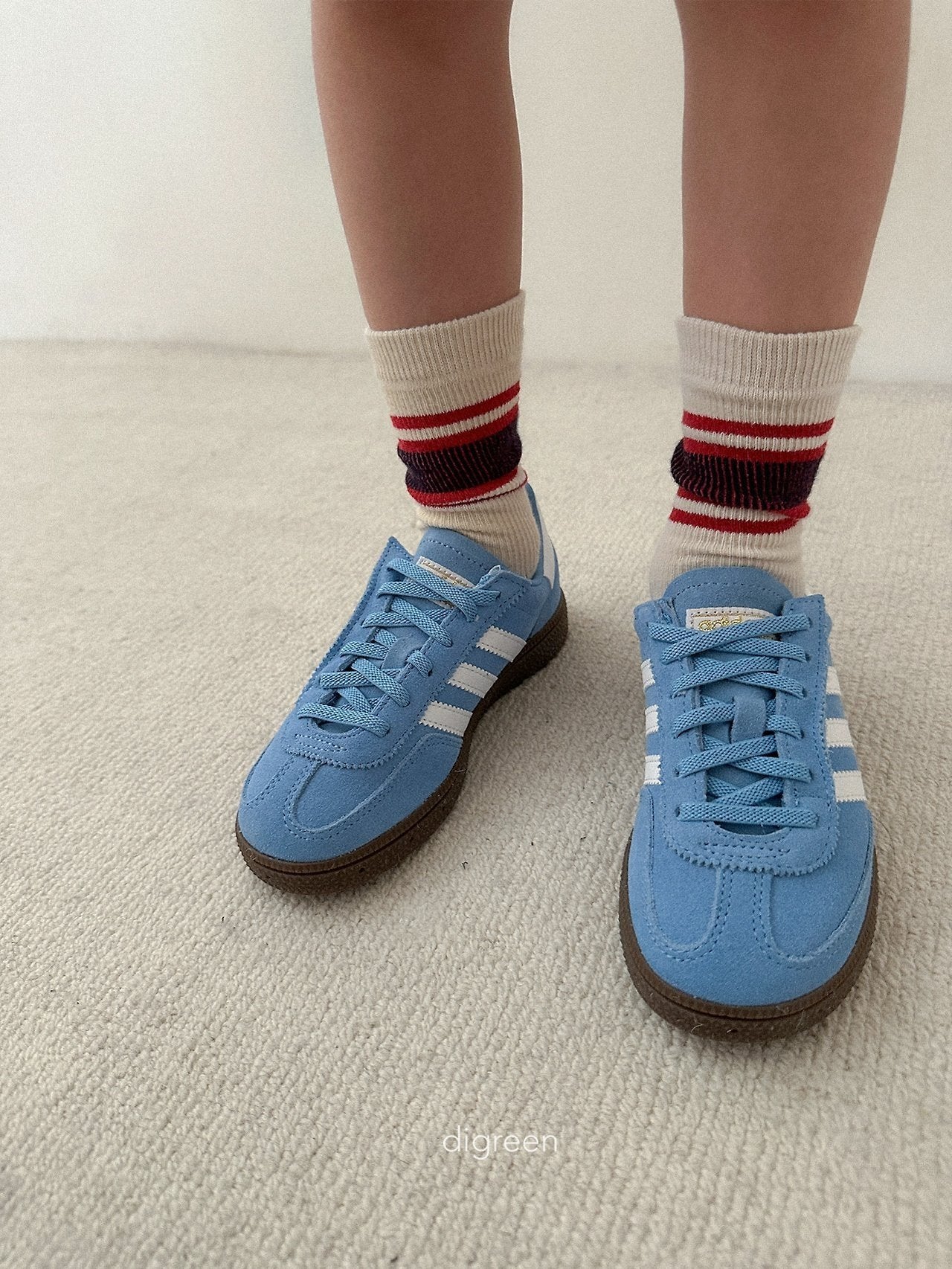《予約》Authentic Socks(Set) / digreen