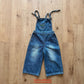 《予約》Atlas Denim Overalls / Cantuccistudio