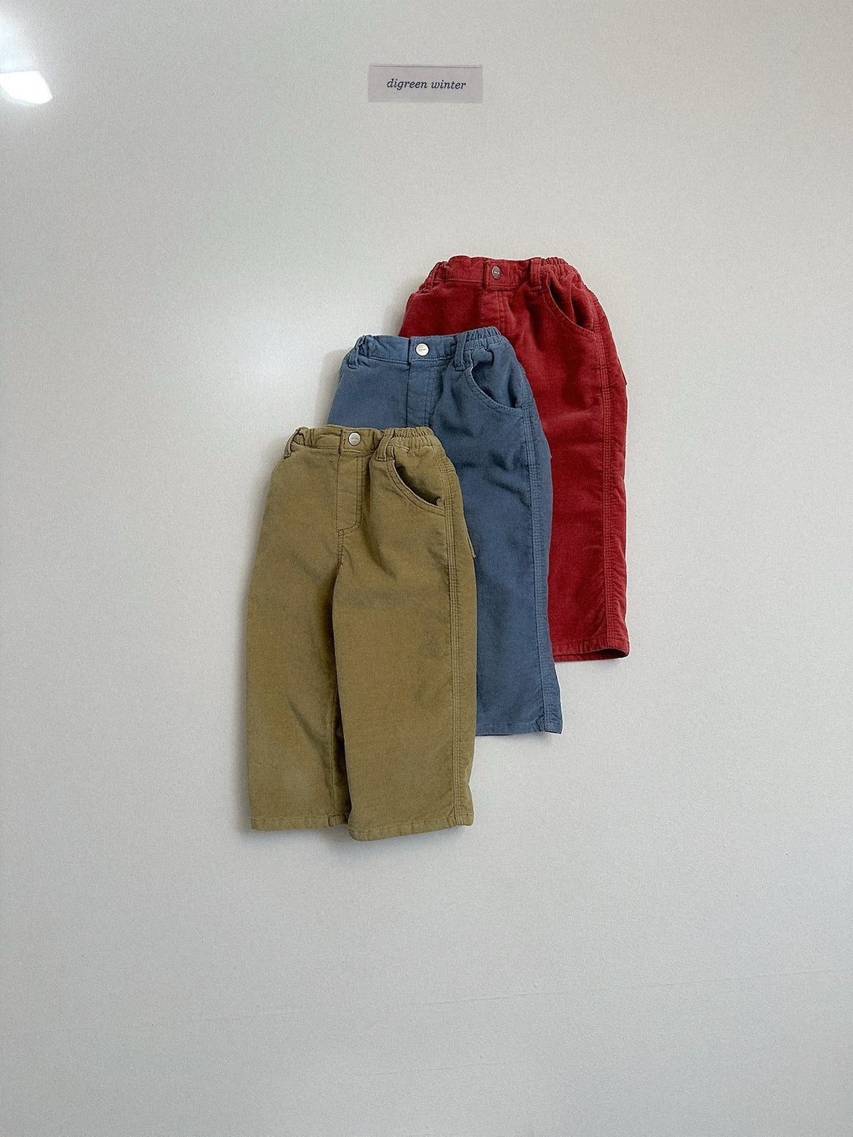 《予約》Velvet Pants / digreen