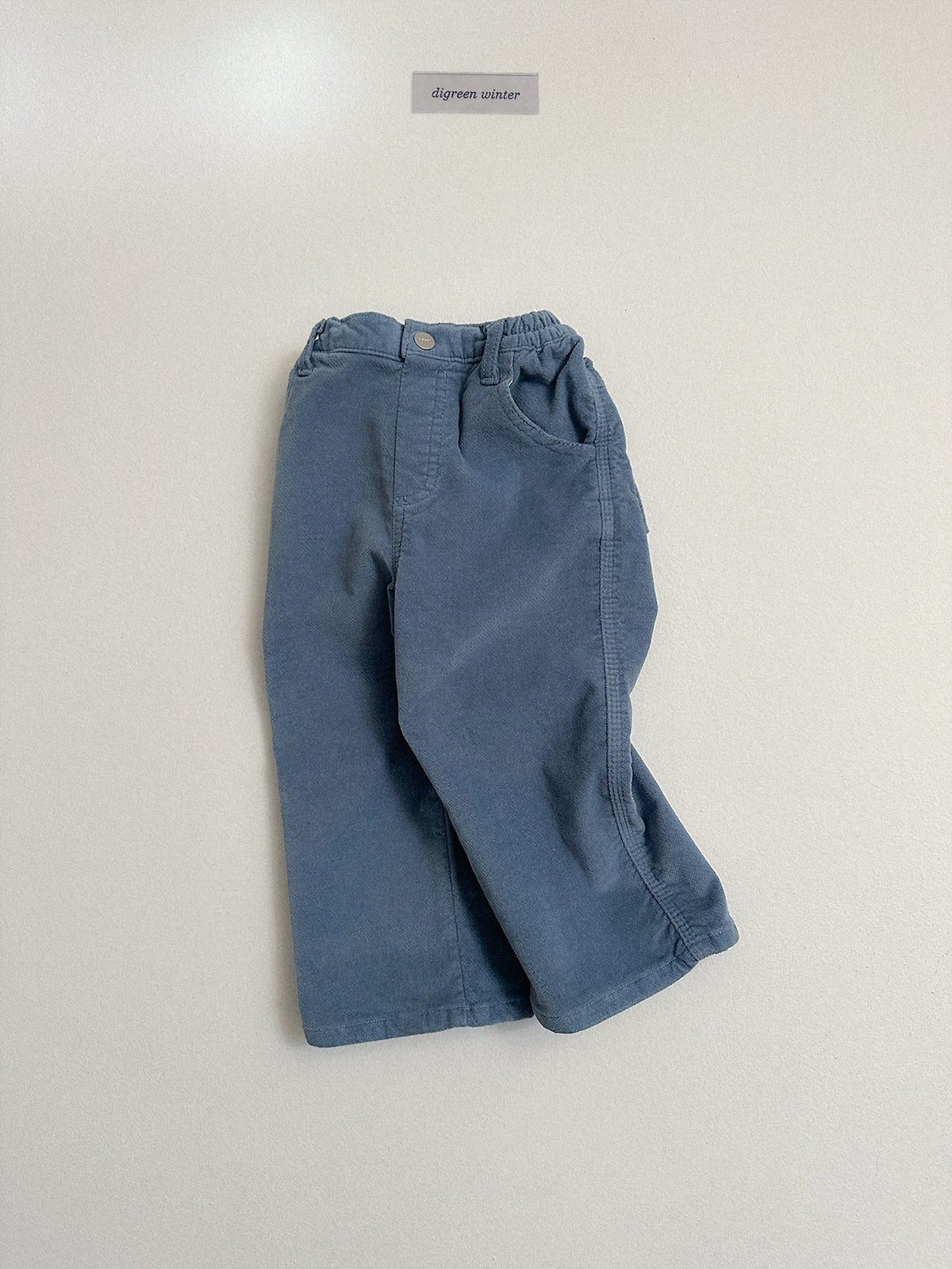 《予約》Velvet Pants / digreen