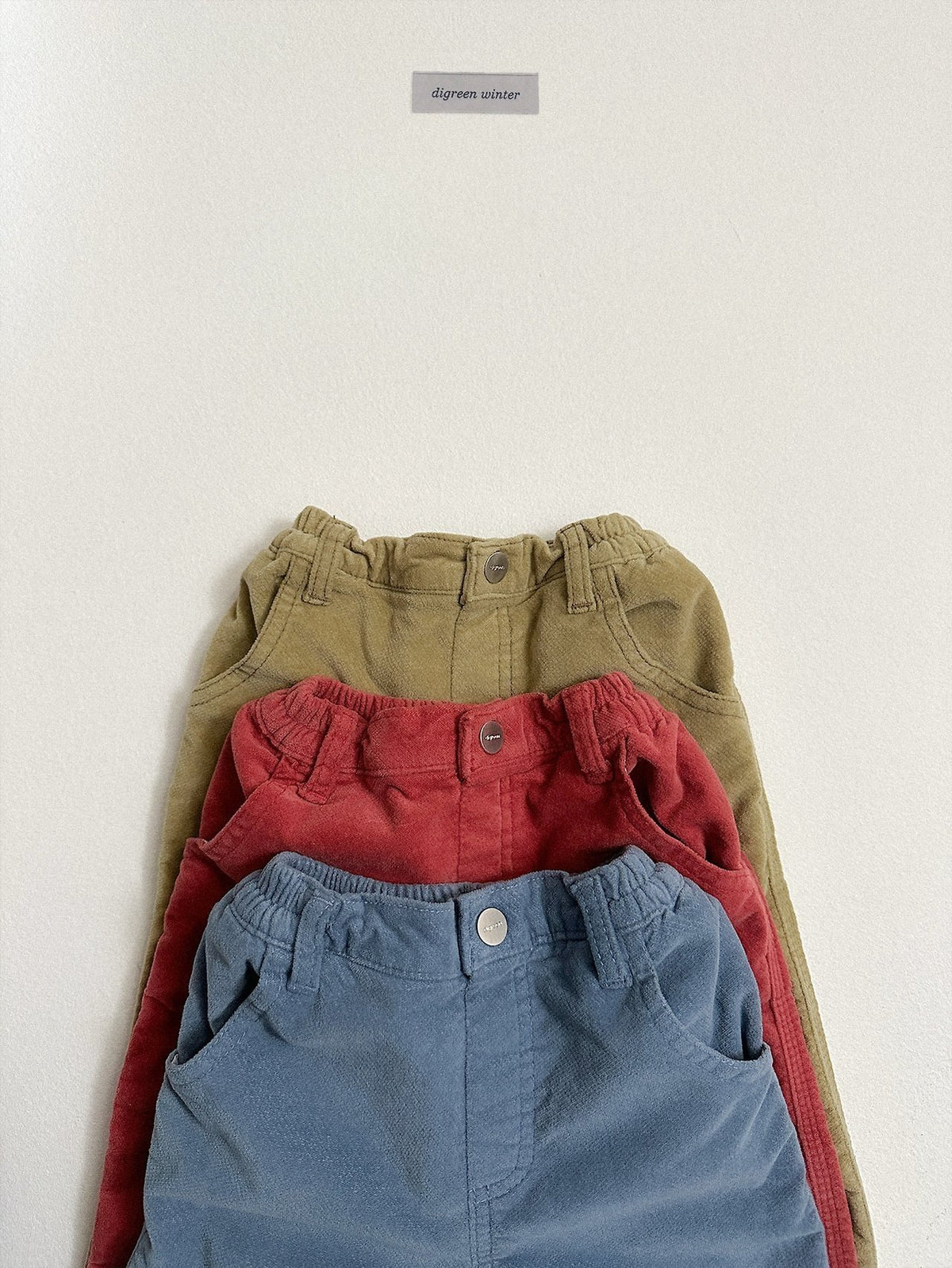 《予約》Velvet Pants / digreen