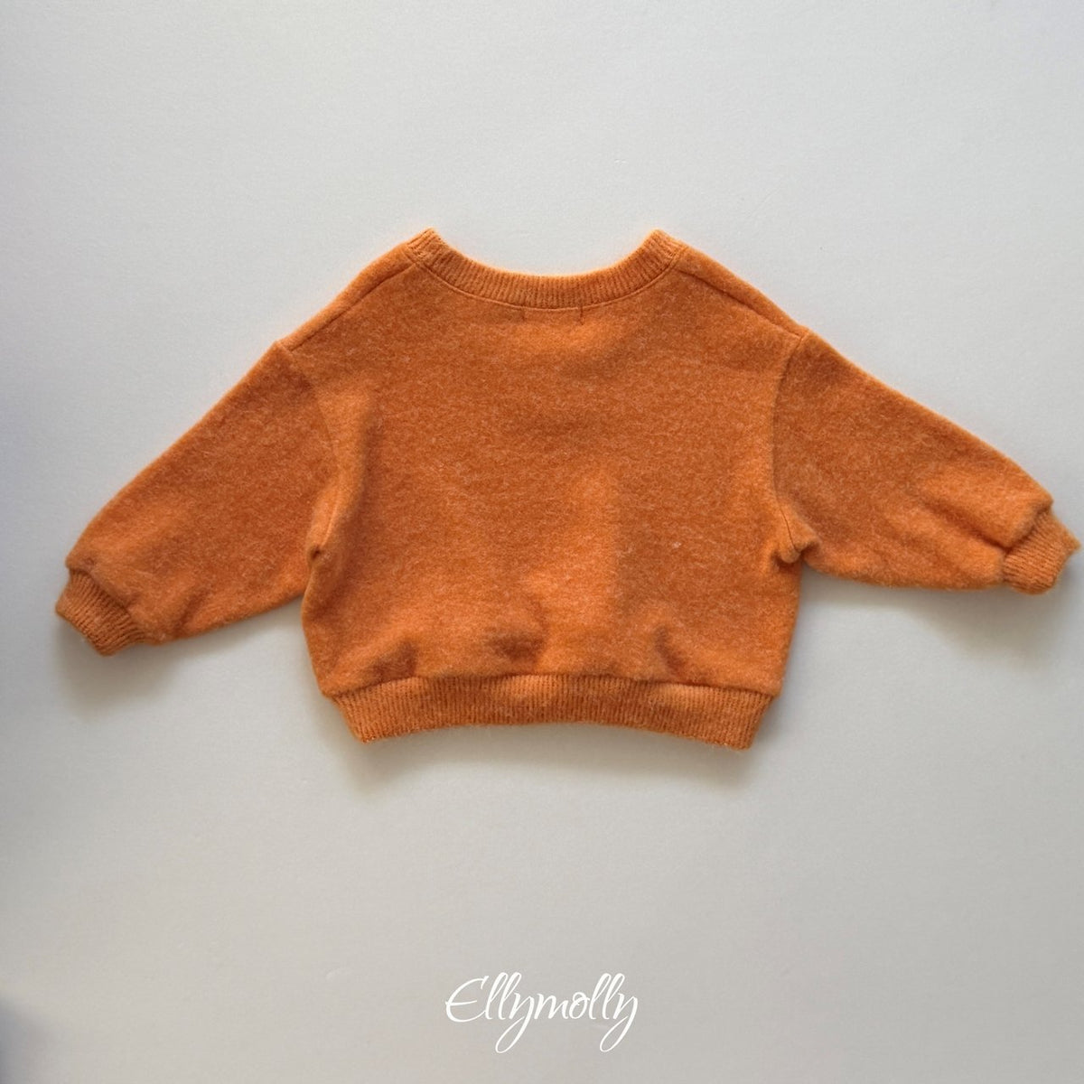 《予約》Chicago Brushed V-Neck / ELLY MOLLY