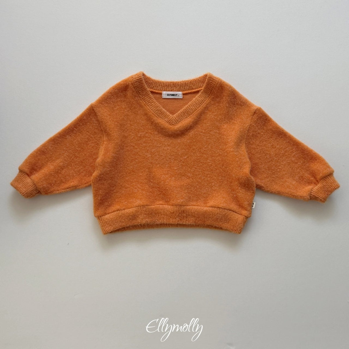 《予約》Chicago Brushed V-Neck / ELLY MOLLY