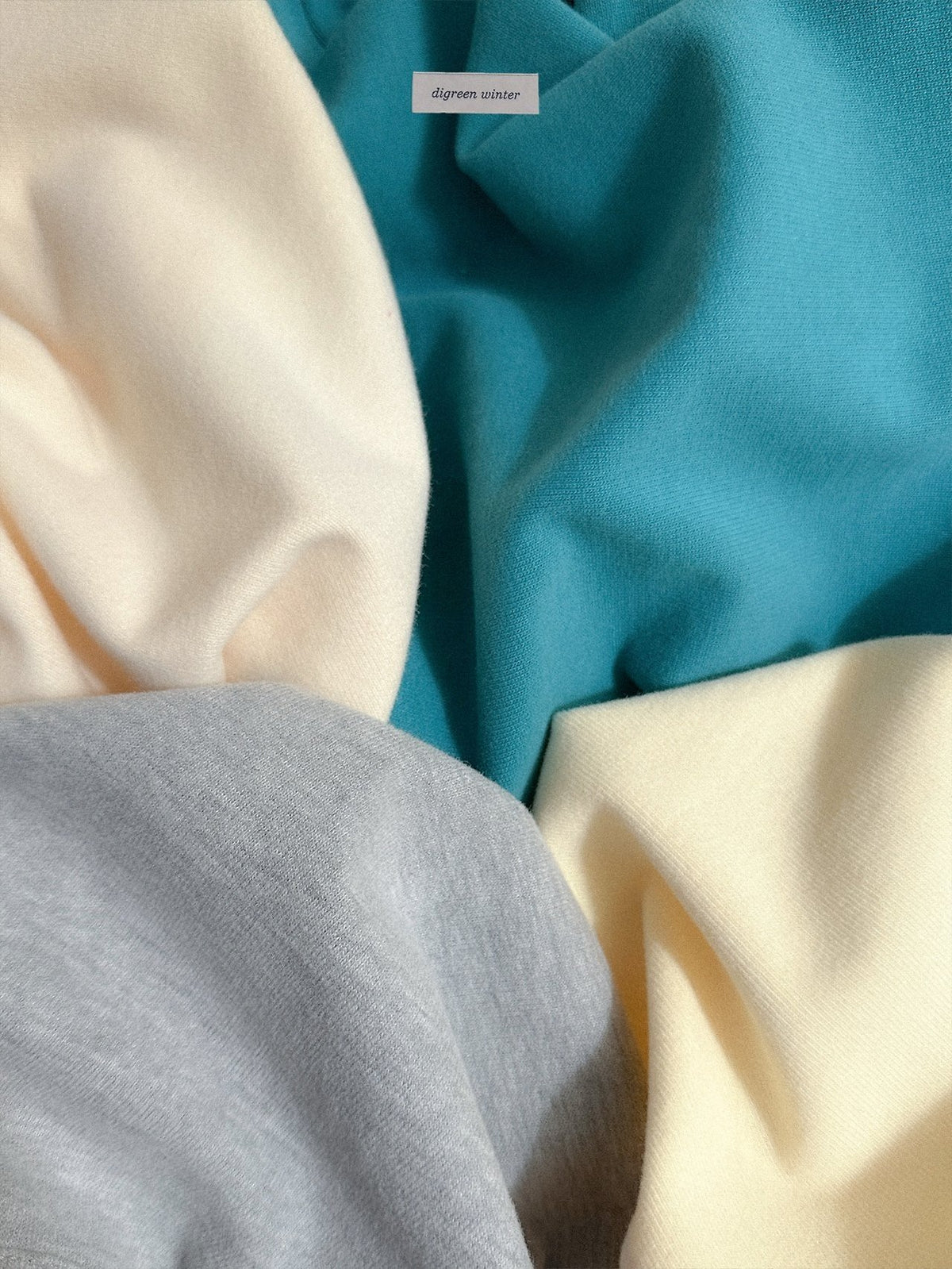《予約》Pogeuni Tee / digreen