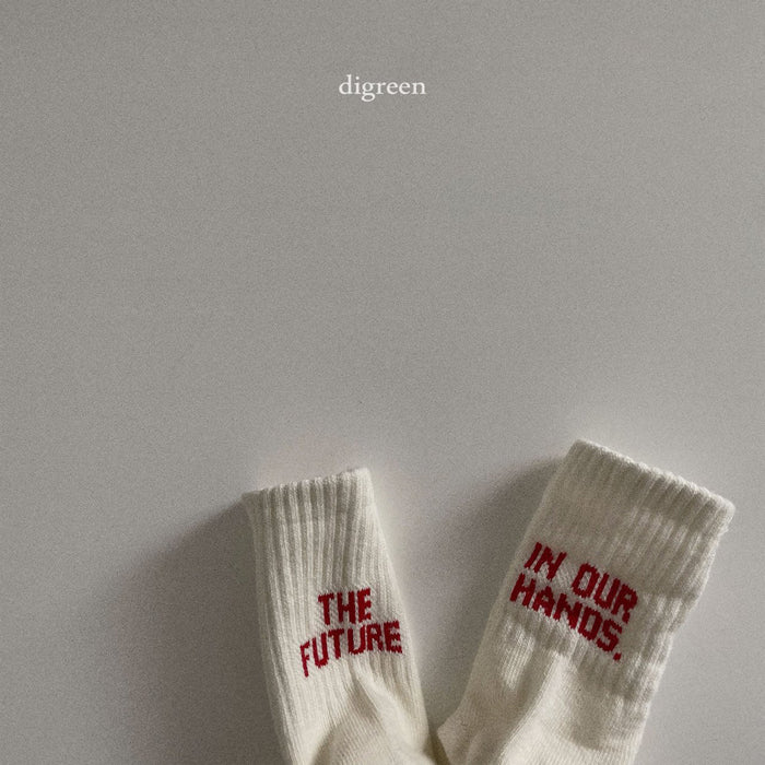 《予約》Future Socks Set / digreen